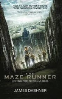 Image of The maze runner